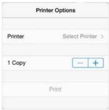 Printer Options Printer Select Printer > 1 Copy - + Print