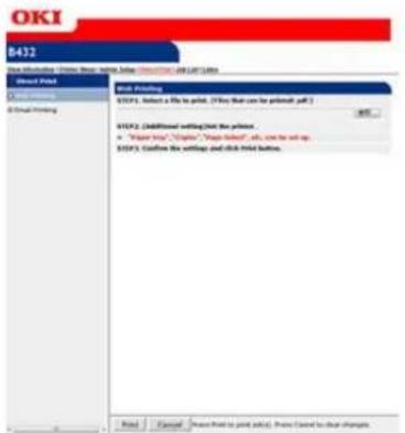 OKI ES5112dn - Direct Print - 1