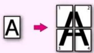 A 1 2 A 3 4