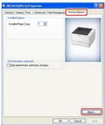 OKI ES4132dn - Für Windows Server 2003 - 1