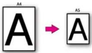 A4 A A5