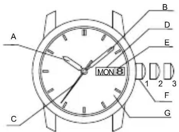ORIENT Contemporary RA-AC0017S - ◆ NOME E FUNZIONI DELLE PARTI - 1