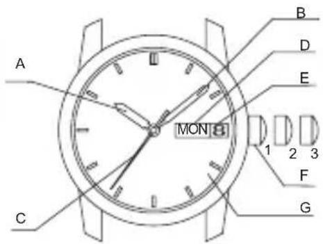 ORIENT Classic AC08004D - ♦ NOME E FUNZIONI DELLE PARTI - 1