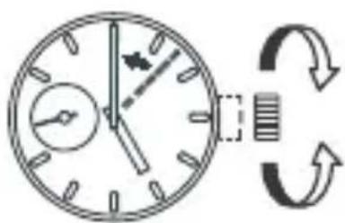 ORIENT Sports UY03006W - Температура - 1