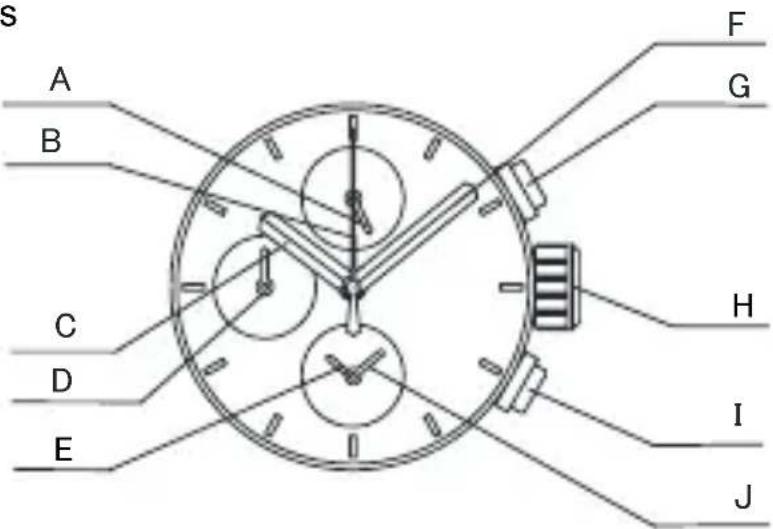 ORIENT Sports TT17005Y - Temperaturas - 1
