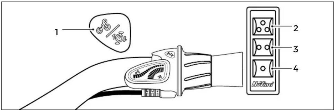 Morrison XM 7.0 - Grundlagen - 1