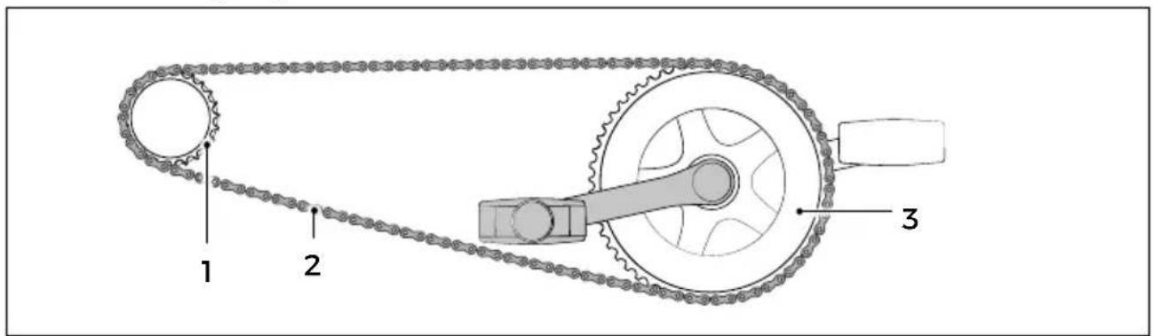 Morrison S 4.0 - Grundlagen - 1