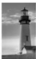 LG W2386V-PF - • MONOCHROME - 4