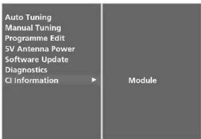 LG 37LF66.AEU - CI [COMMON INTERFACE] INFORMATION (IN DIGITAL MODE ONLY) - 4