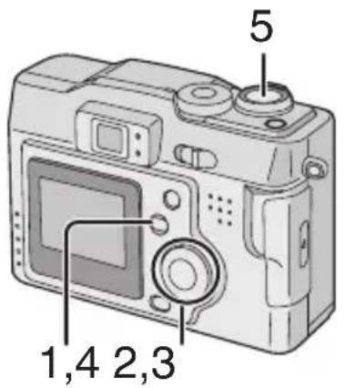 PANASONIC Lumix DMC-LC43E - Fotografieren mit Audio - 1