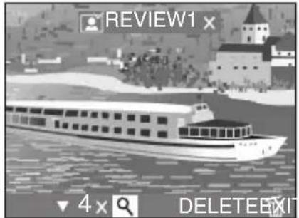 REVIEW1 x 4 x DELETEEXIT
