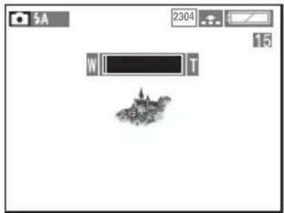 5A 2304 15 W T