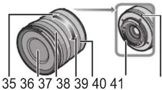 35 36 37 38 39 40 41