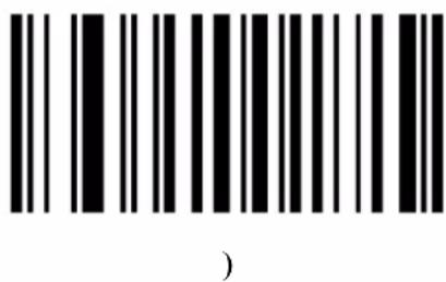 Posiflex HS-3512W - Alphanumeric Barcodes - 12