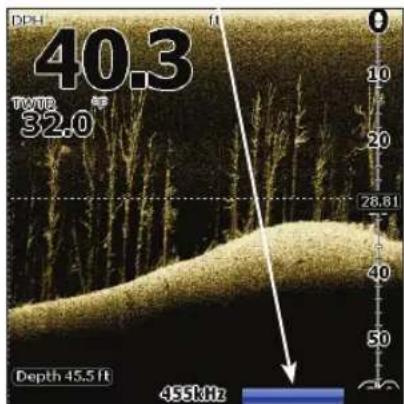 LOWRANCE Elite 4 DSI - Verwenden von DSI - 1