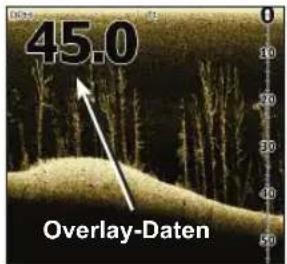 LOWRANCE Elite 4 DSI - Overlay-Daten - 1
