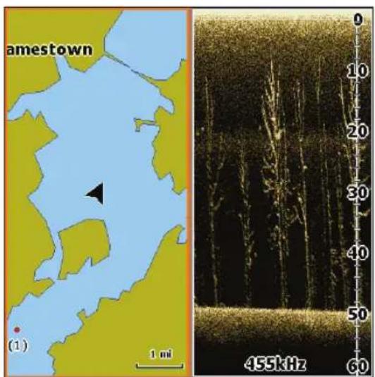 LOWRANCE Elite 4 DSI - Seiten - 1