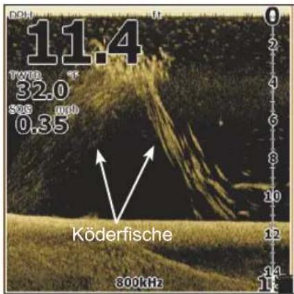 LOWRANCE Elite 4 DSI - DSI Interpretation - 4