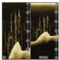 LOWRANCE Elite 4 DSI - Split Zoom - 1