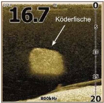 LOWRANCE Elite 4 DSI - DSI Interpretation - 1