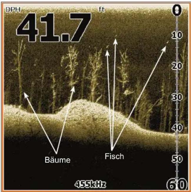 LOWRANCE Elite 4 DSI - DSI Interpretation - 1