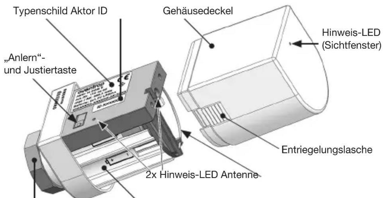 Oventrop R-Tronic RTF B - HINWEIS zur Display-Beleuchtung - 3