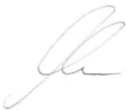 Handwritten signature or scribble on white background
