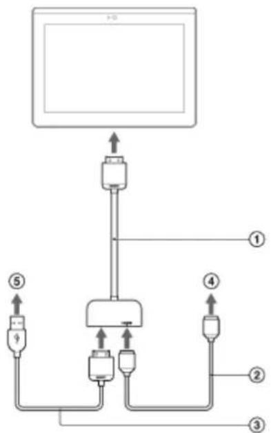 Diagram of a device with labeled ports and connections, showing connections between a monitor and four connected devices.