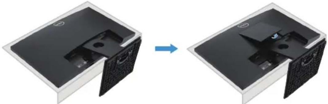 DELL E Series E1920H - Ständer entfernen - 1