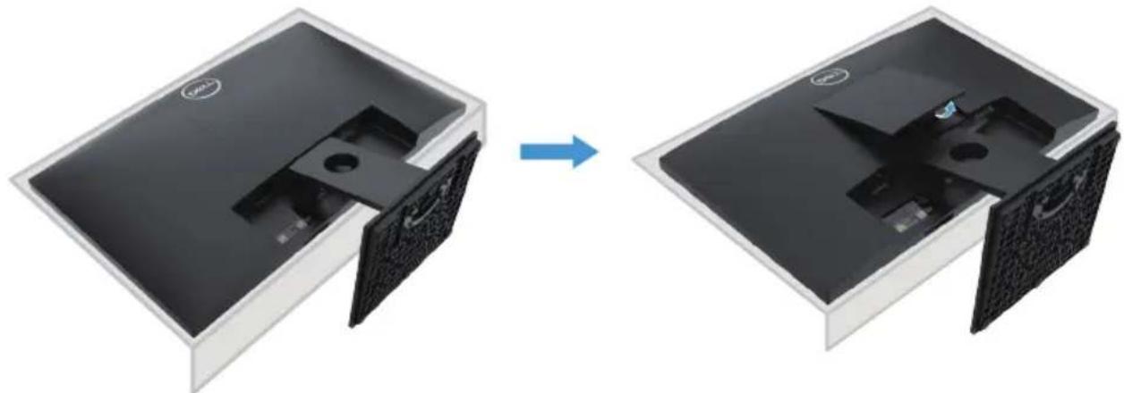 DELL E Series E1920H - Ständer entfernen - 4