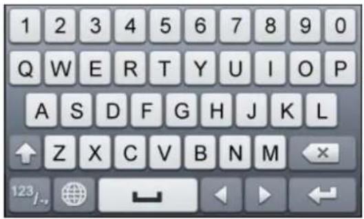 HiLook NVR-108H-D - Input Method Description - 1