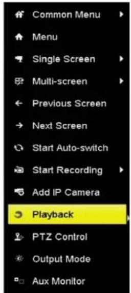 HiLook NVR-108H-D - Playing Back by Normal Search - 1