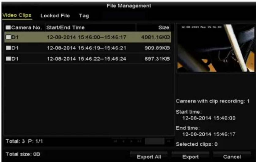 HiLook NVR-108H-D - File Management - 1