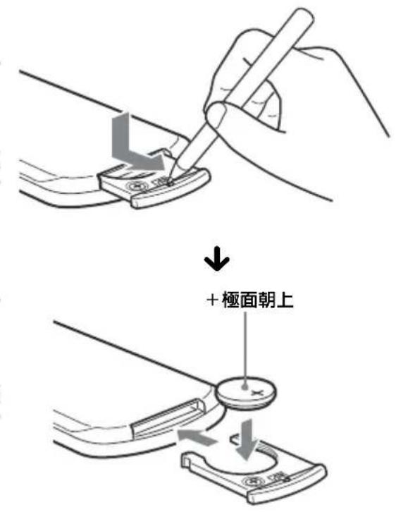 +極面朝上