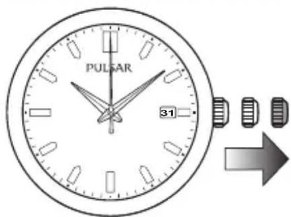 PULSAR 31