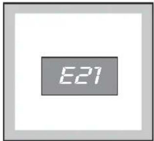 E21