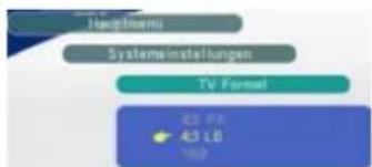Hauptmann Systemeinstellungen TV Format 43 PB 43 LB 162