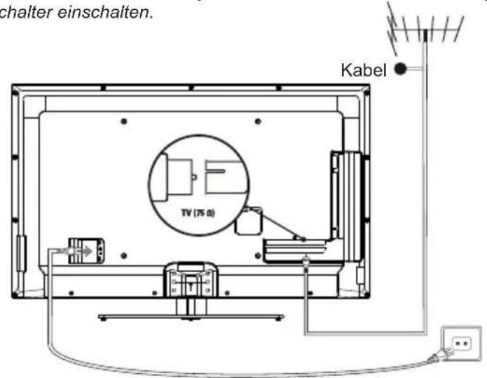 TCL U40S7606DS - Netz- und Antennenanschluss - 2