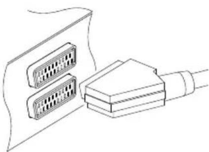TOPFIELD TF 6000 PVRE - Verwendung des SCART-Anschlusses - 1