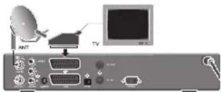 TOPFIELD TF 5000 CI Plus - VerbindungzumTV"uberScart - 1