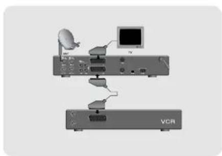 TOPFIELD TF 4000 PVR - Anschluß von Fernseher, Videorekorder und Stereoanlage - 2