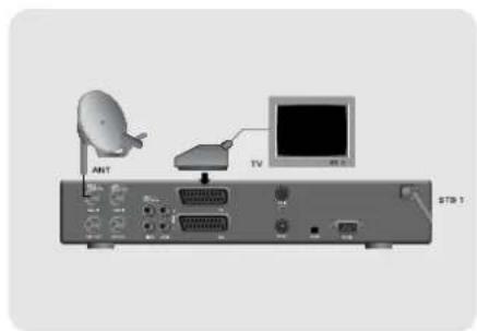 TOPFIELD TF 4000 PVR - Anschluß von Fernseher, Videorekorder und Stereoanlage - 1