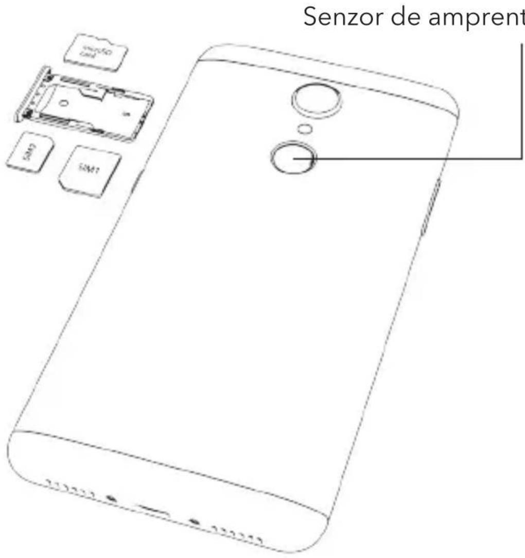 Senzor de amprent