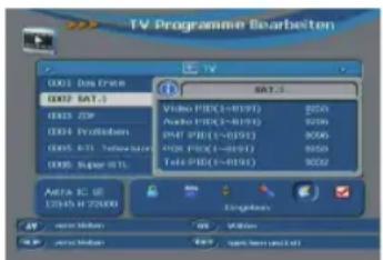 Telestar TD 3000 HD - ammparameter ändern/ Eingeben - 1