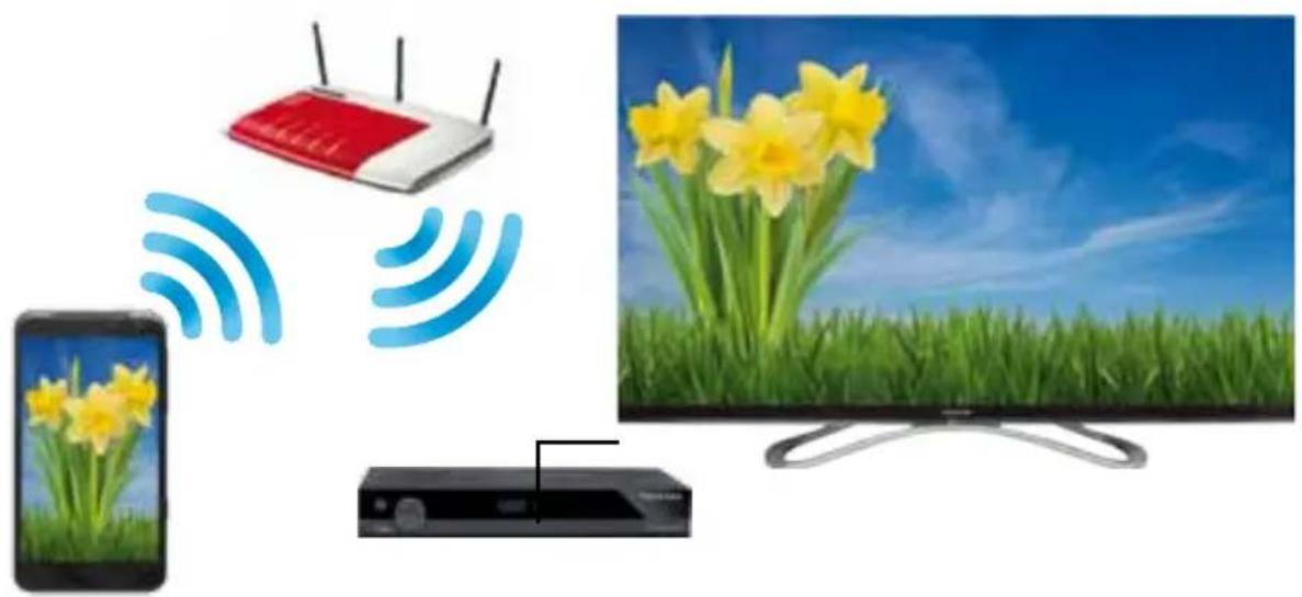 Telestar TD 2500 C HD - DLNA - 1