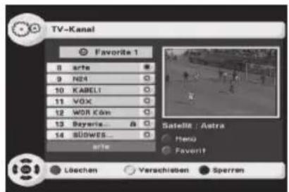 Telestar SSC 1 - Programmlisten konfigurieren - 2