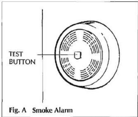 Swift Challenger SE 490L (1993) - TO ACTIVATE ALARM-PAUSE - 1