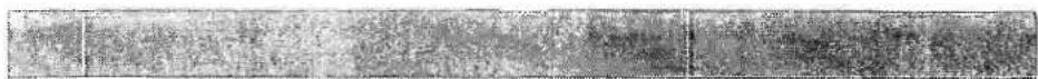 Swift Challenger SE 490L (1993) - Wiring Diagram - 1