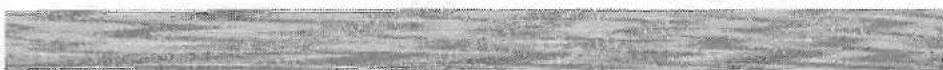 Swift Challenger SE 490L (1993) - MODEL RM2262 - 1