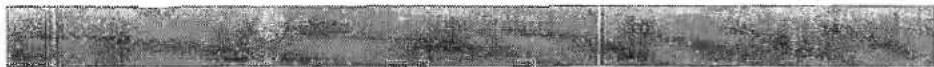 Swift Challenger SE 490L (1993) - Wiring Diagram - 1